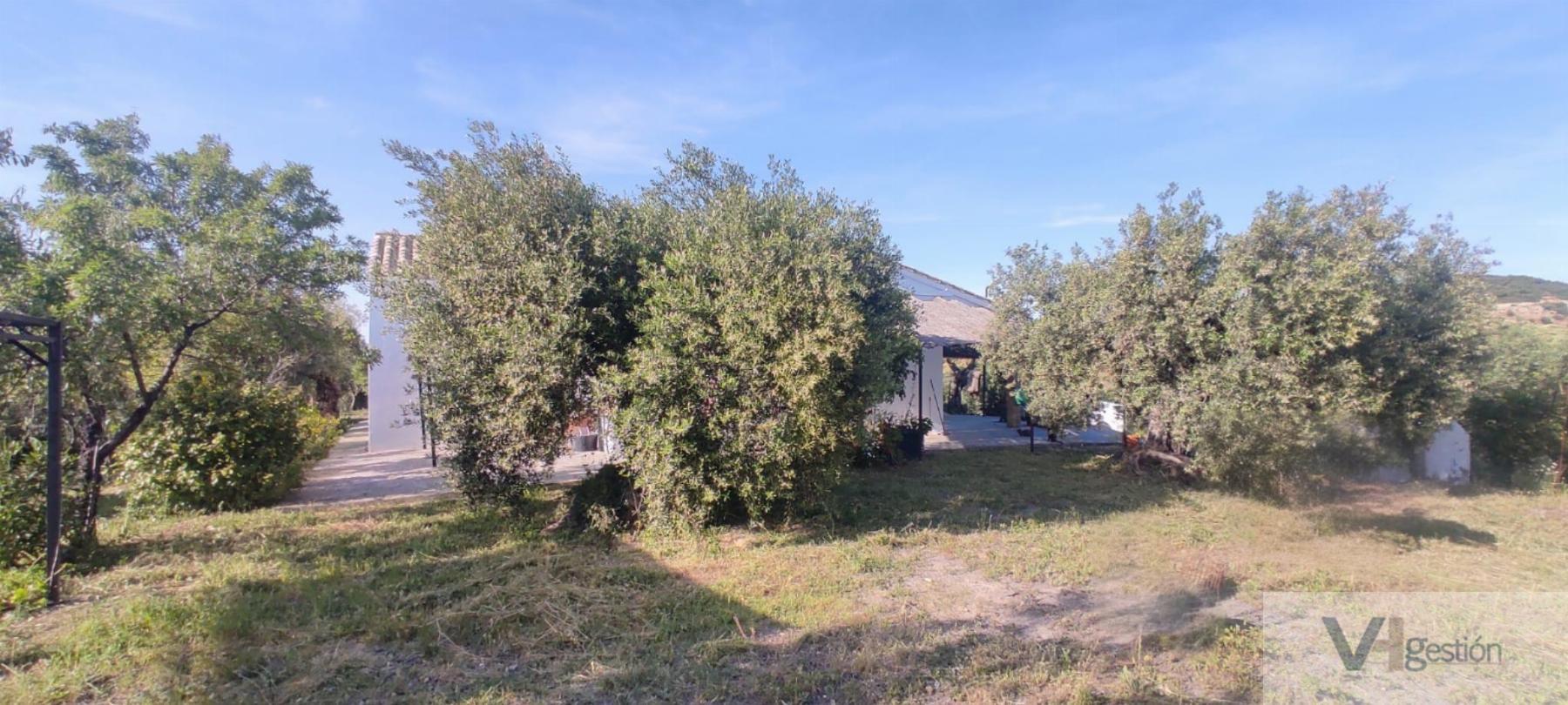 For sale of rural property in Montellano