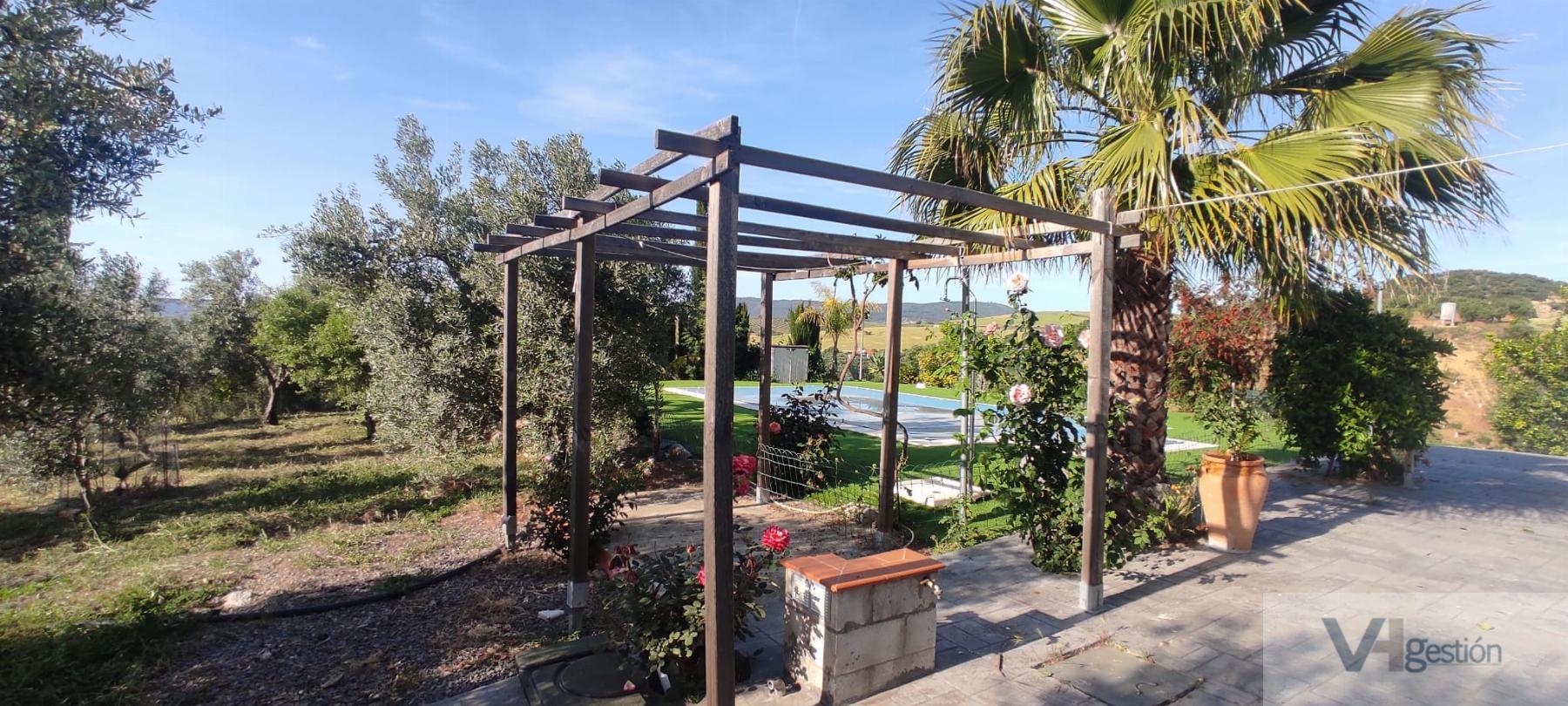 For sale of rural property in Montellano