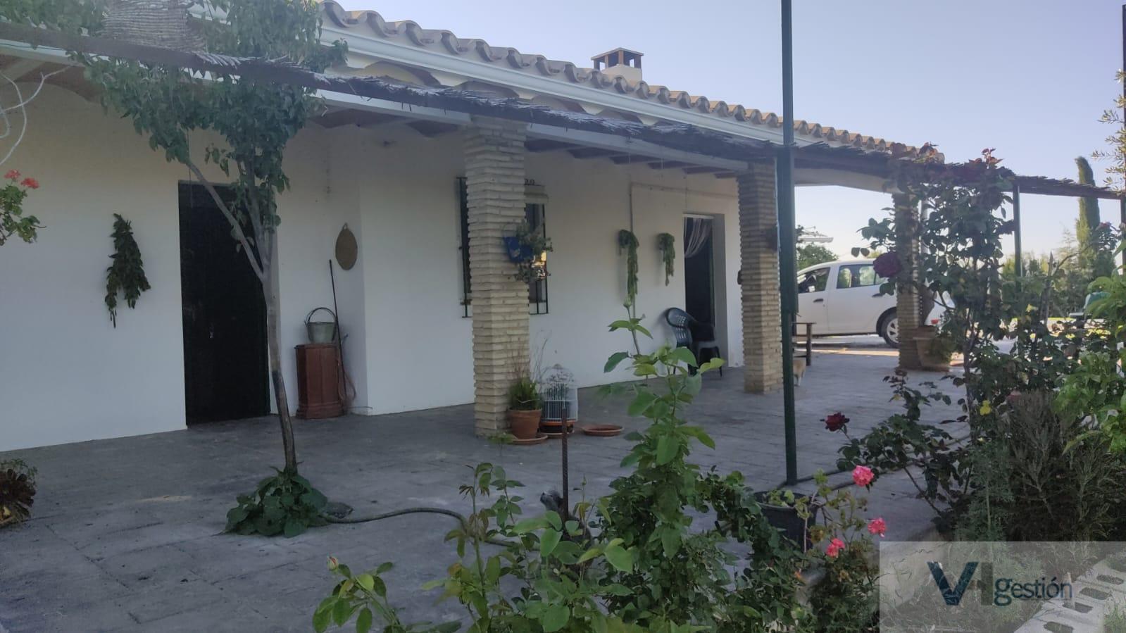 For sale of rural property in Montellano