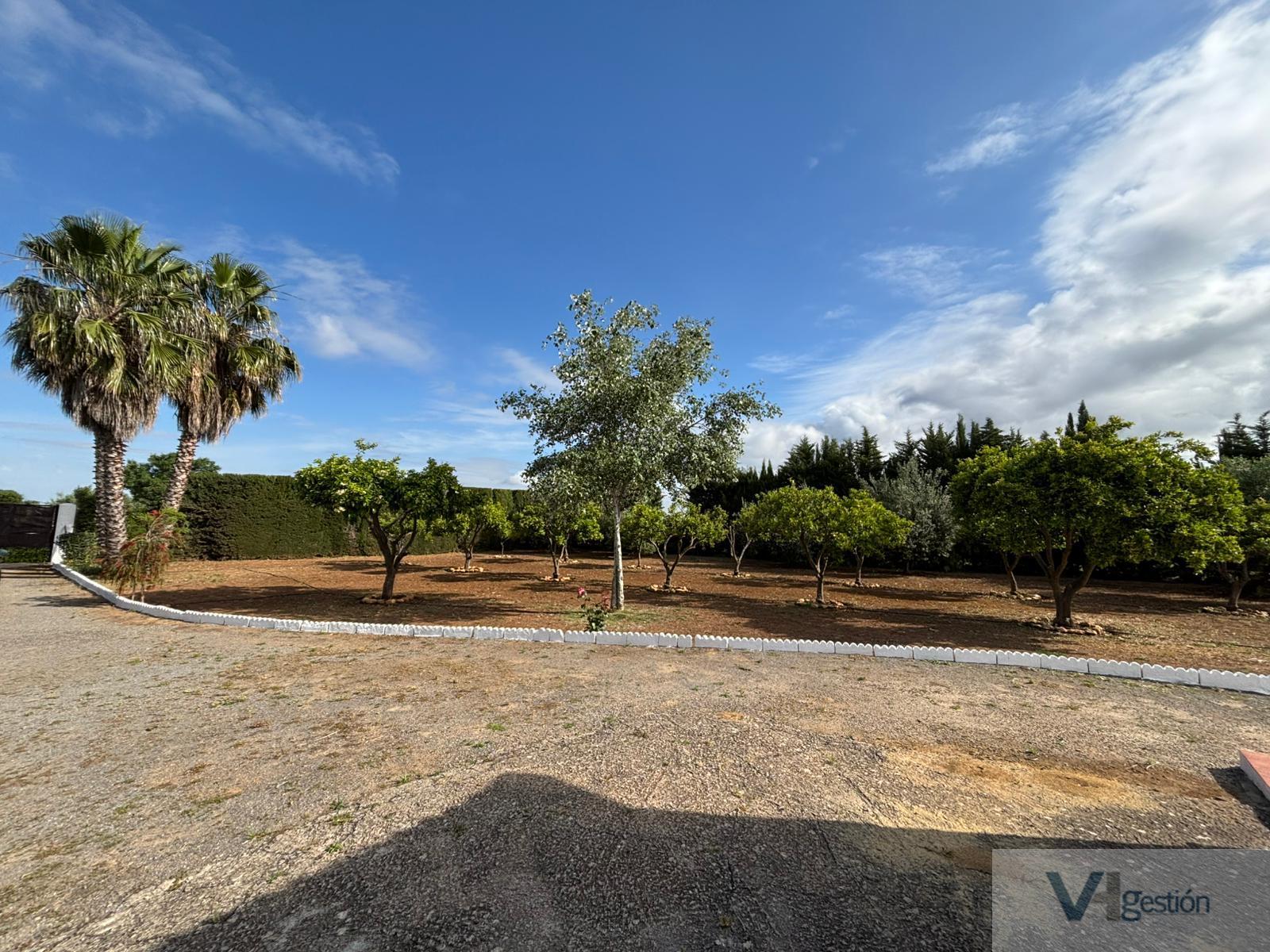 Venta de finca rústica en Villamartín