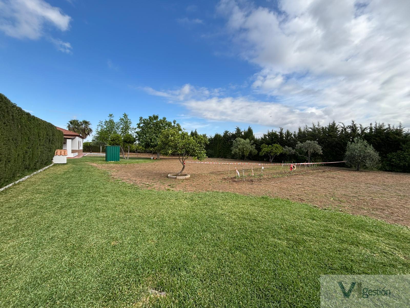 Venta de finca rústica en Villamartín