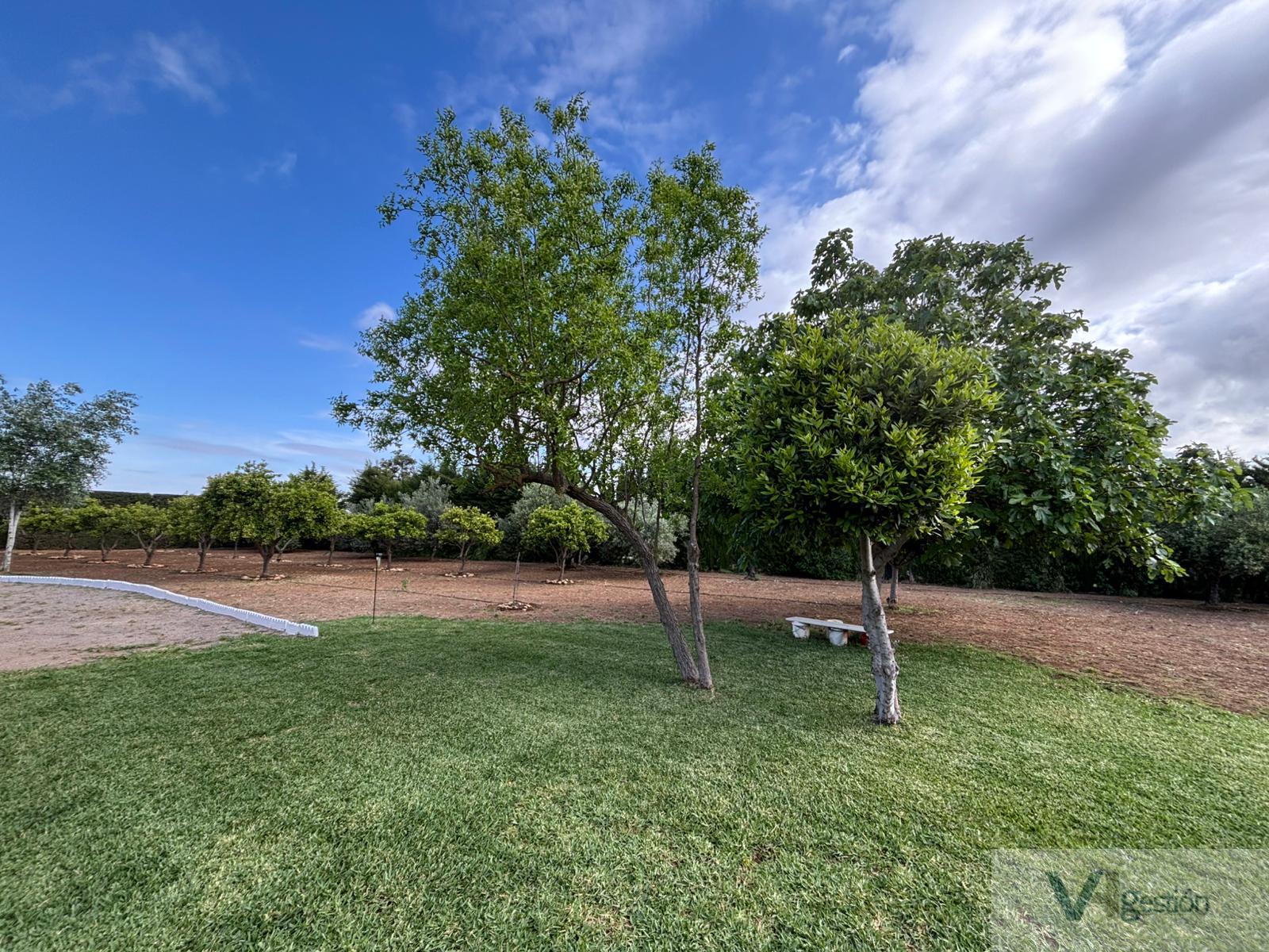 Venta de finca rústica en Villamartín