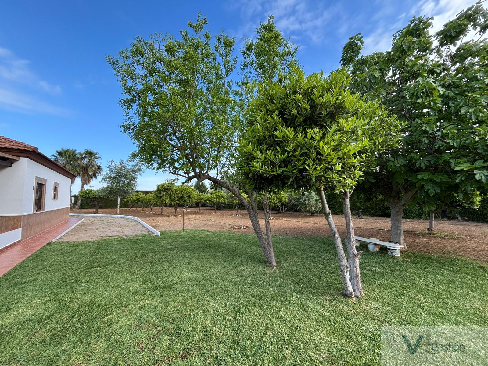 Venta de finca rústica en Villamartín