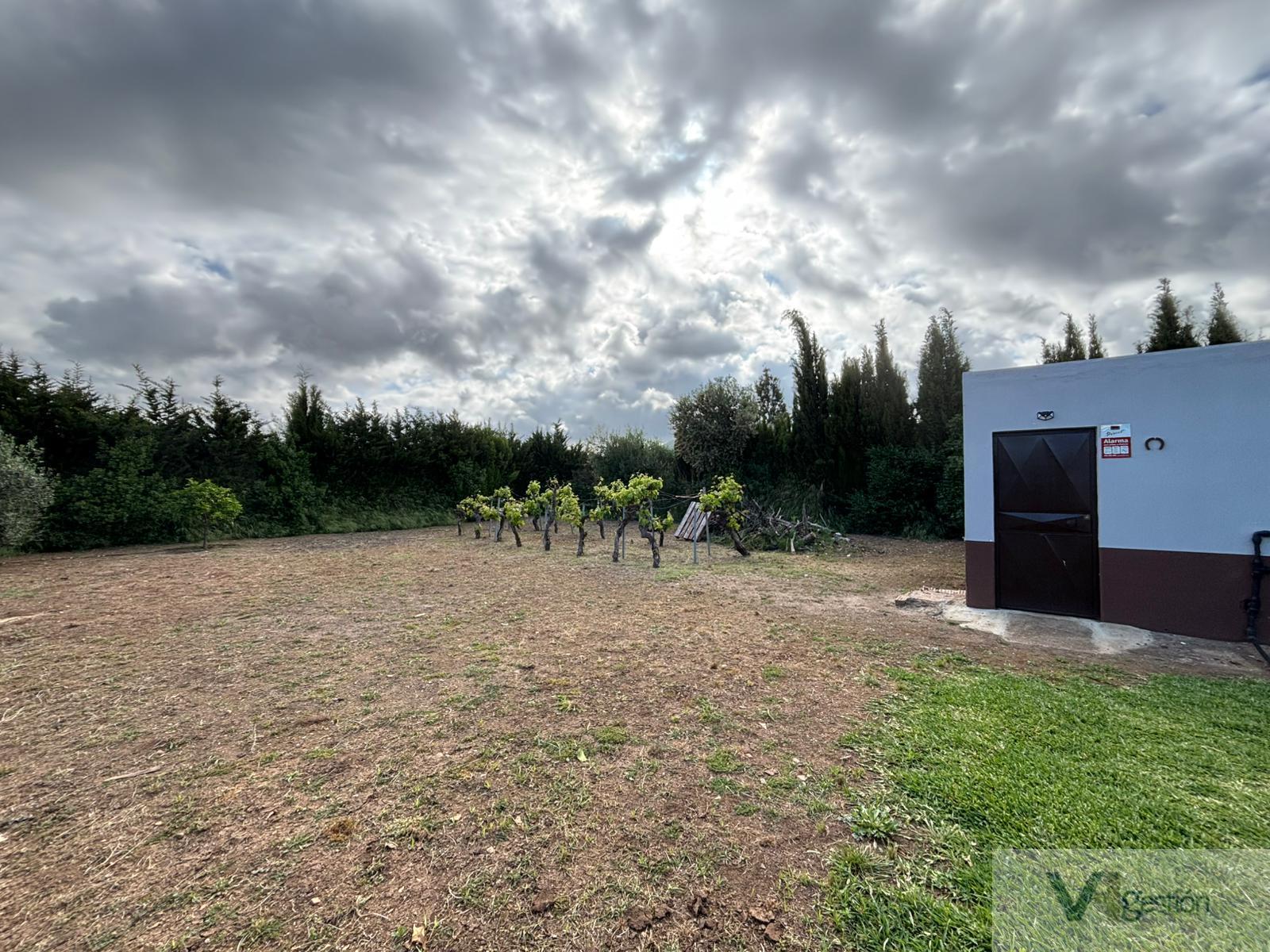 Venta de finca rústica en Villamartín