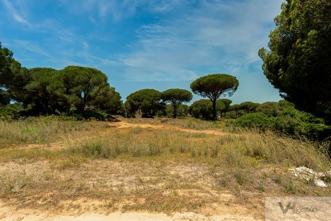 Venta de terreno en Chiclana de la Frontera