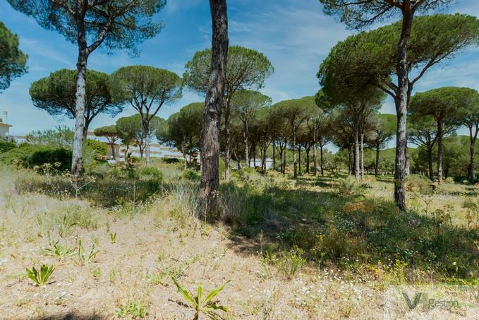 Venta de terreno en Chiclana de la Frontera