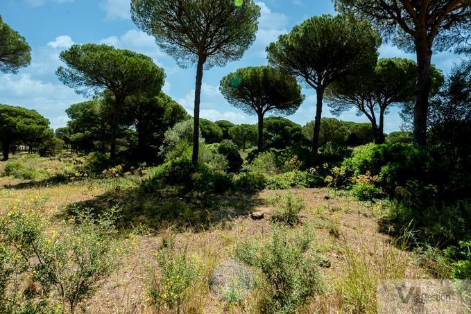 Venta de terreno en Chiclana de la Frontera
