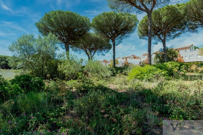 Venta de terreno en Chiclana de la Frontera