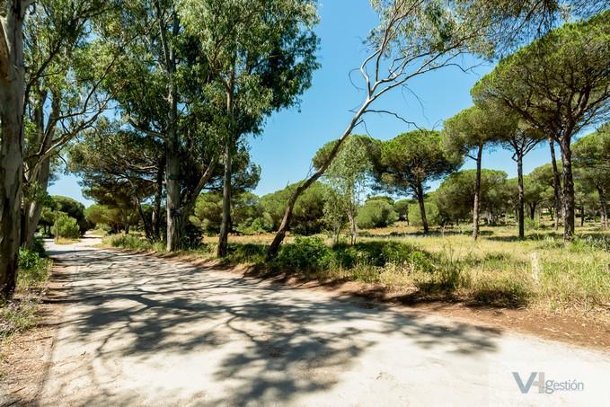 Venta de terreno en Chiclana de la Frontera