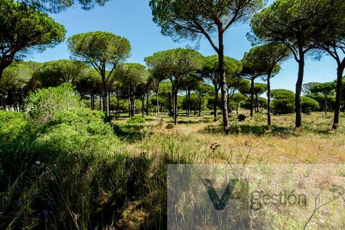 For sale of land in Chiclana de la Frontera