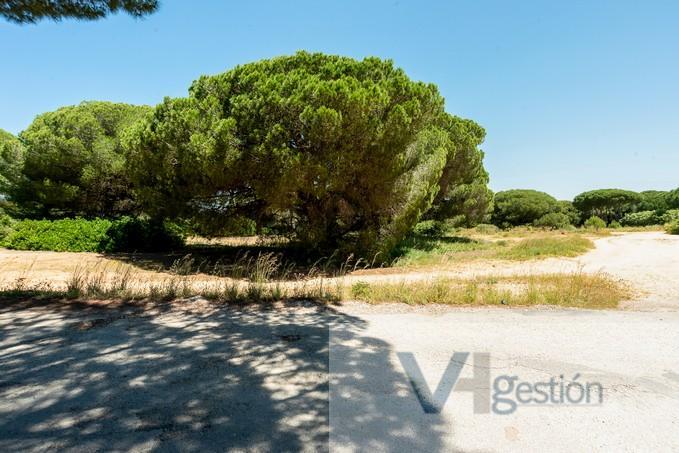 For sale of land in Chiclana de la Frontera