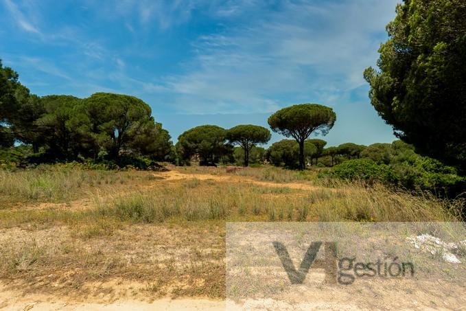 For sale of land in Chiclana de la Frontera