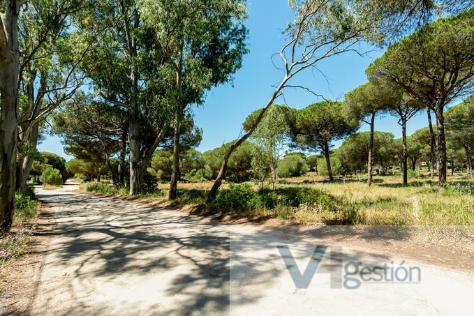 For sale of land in Chiclana de la Frontera