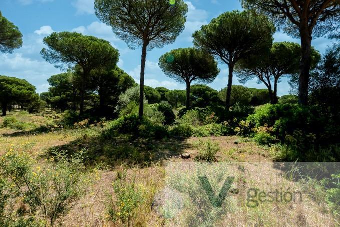 For sale of land in Chiclana de la Frontera
