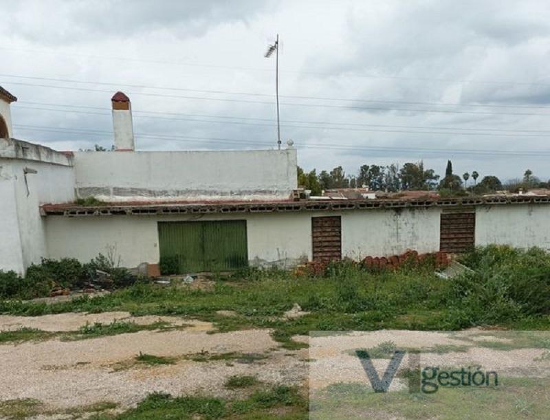 Venta de finca rústica en Carmona