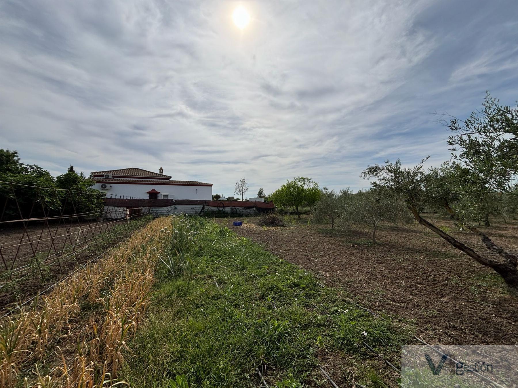 Venta de finca rústica en Villamartín