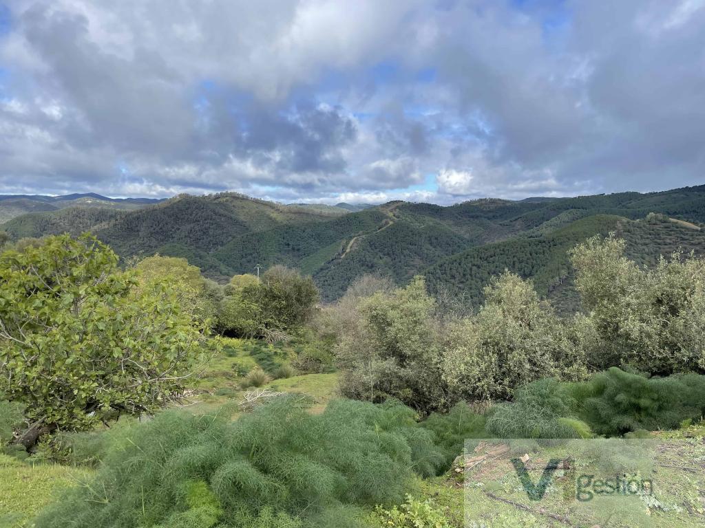 For sale of rural property in Córdoba