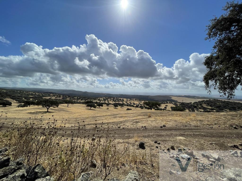 For sale of rural property in Córdoba