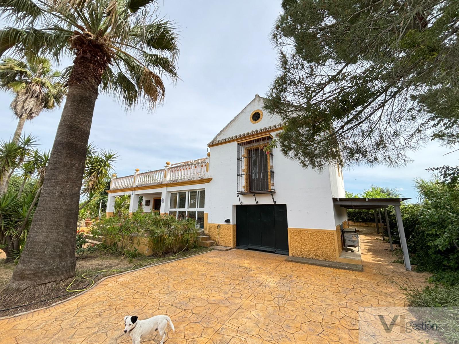 Venta de finca rústica en Morón de la Frontera