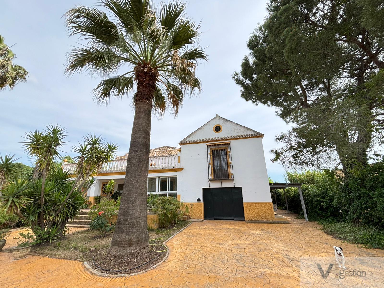 Venta de finca rústica en Morón de la Frontera