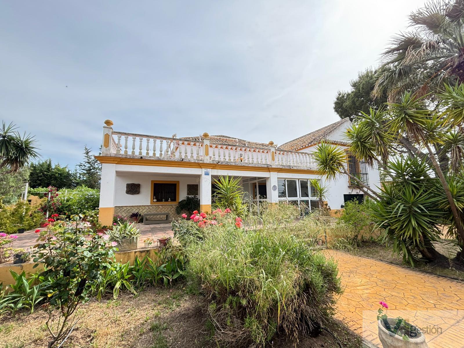Venta de finca rústica en Morón de la Frontera