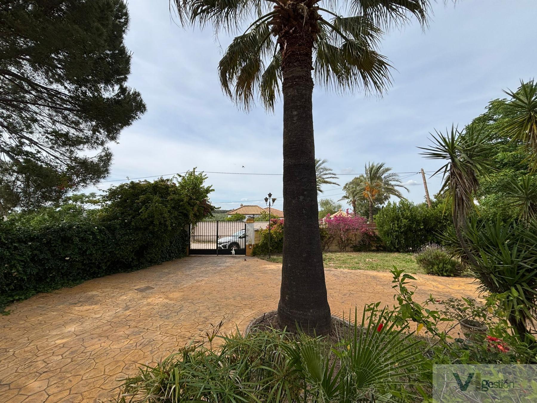 Venta de finca rústica en Morón de la Frontera