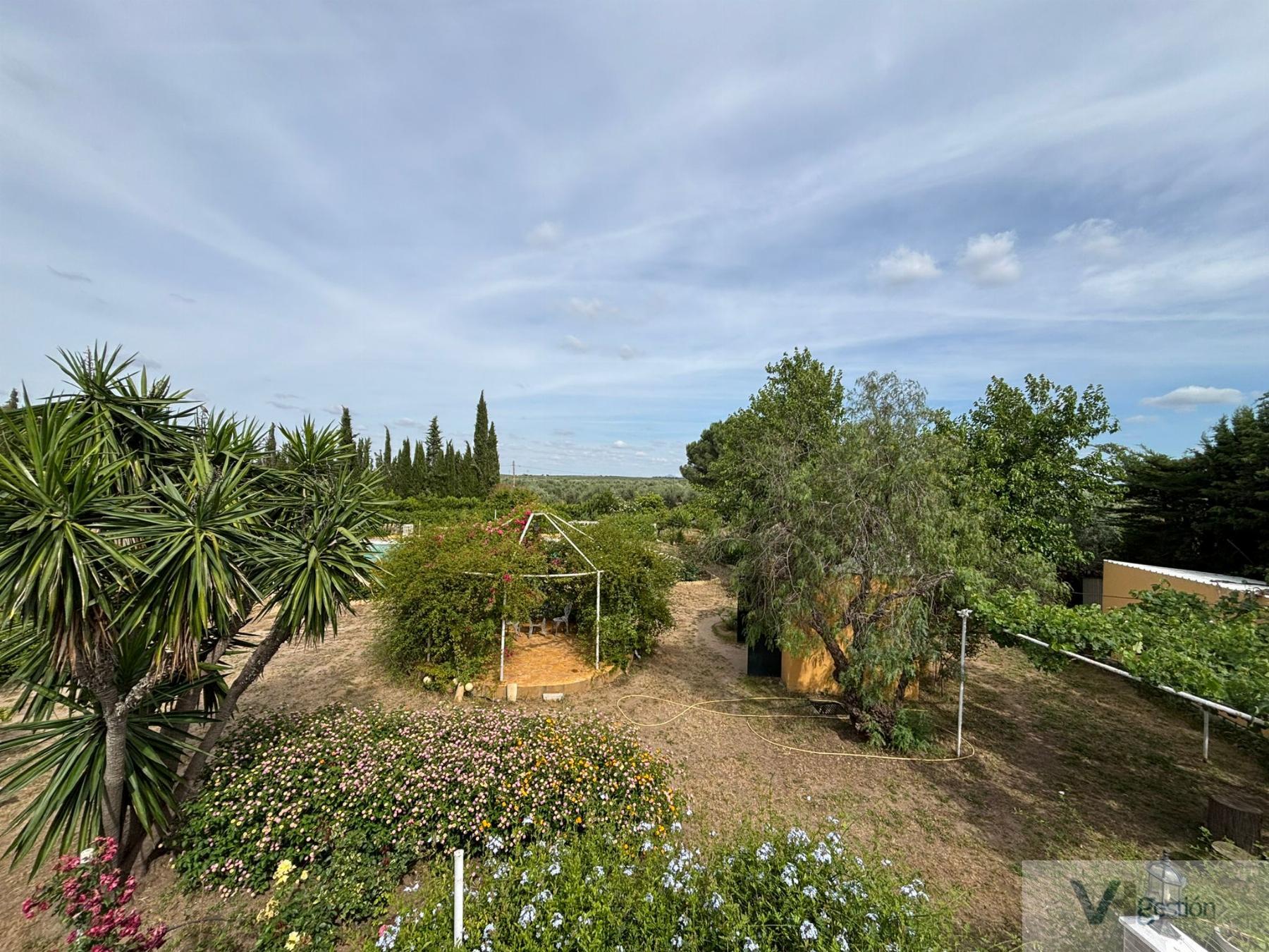 Venta de finca rústica en Morón de la Frontera