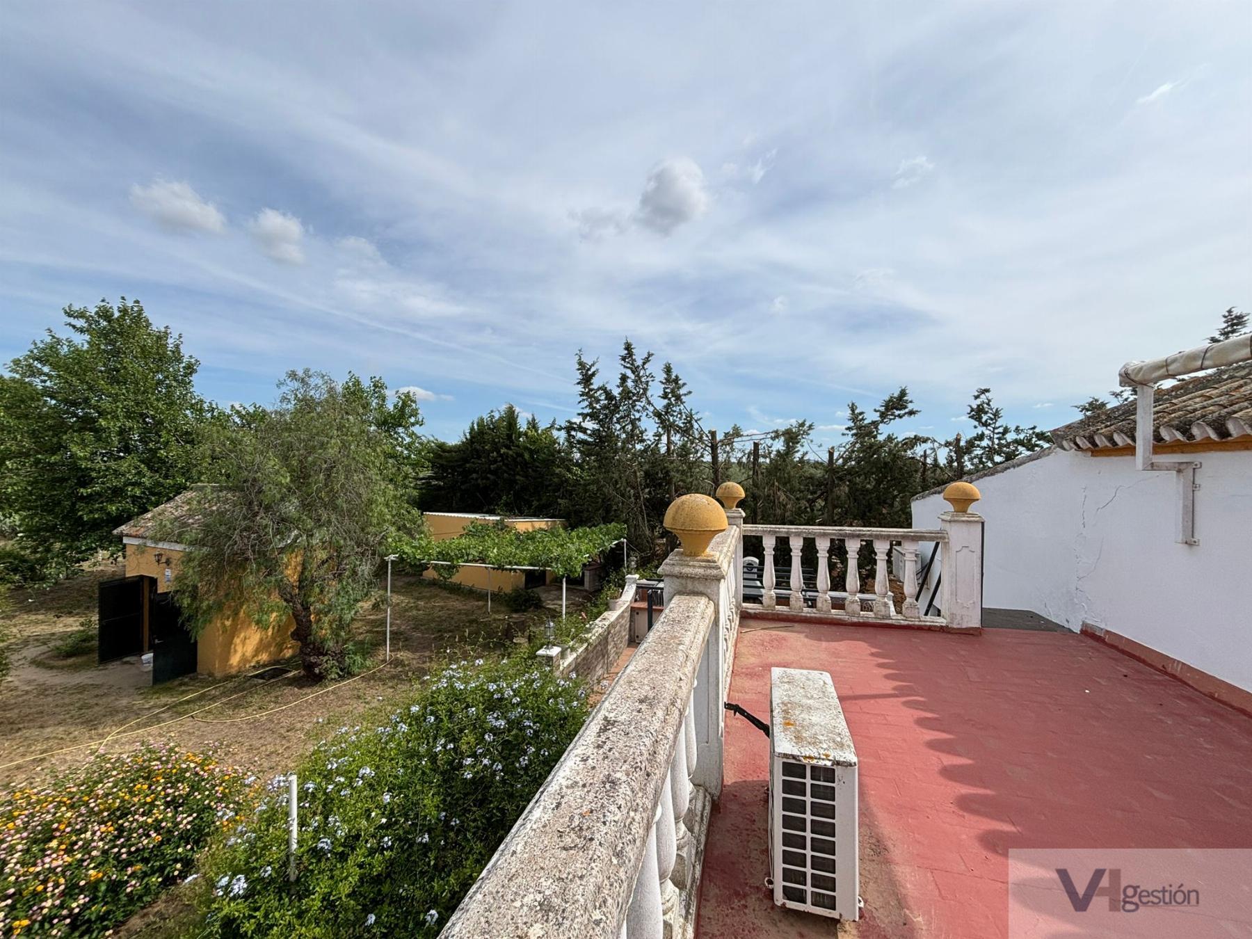 Venta de finca rústica en Morón de la Frontera