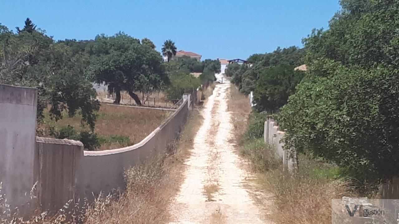 Venta de finca rústica en Chiclana de la Frontera