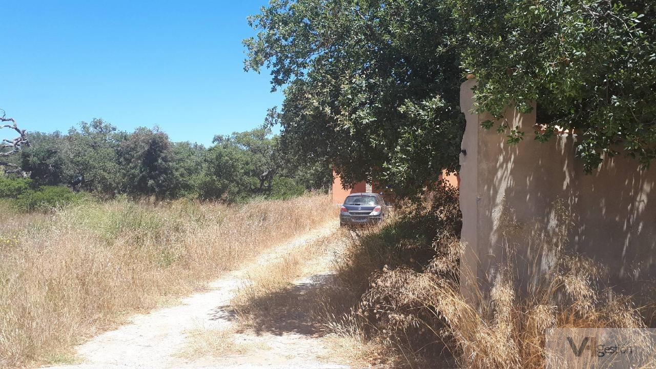 Venta de finca rústica en Chiclana de la Frontera