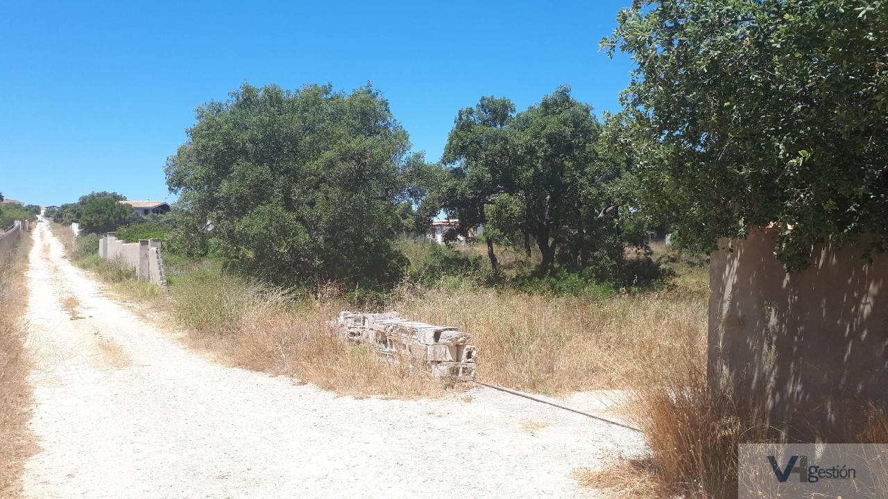Venta de finca rústica en Chiclana de la Frontera