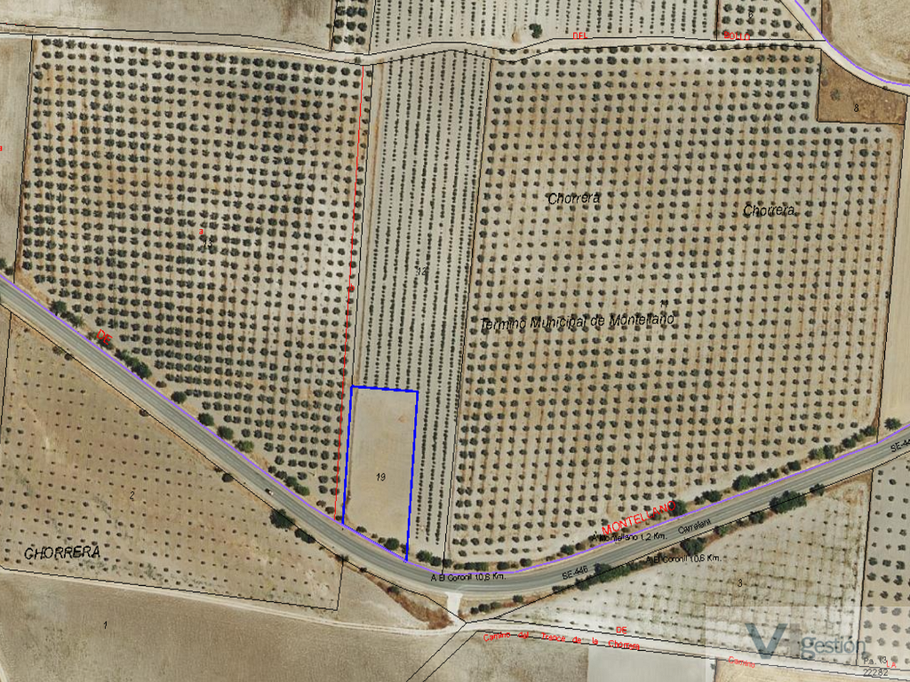 Venta de terreno en Montellano