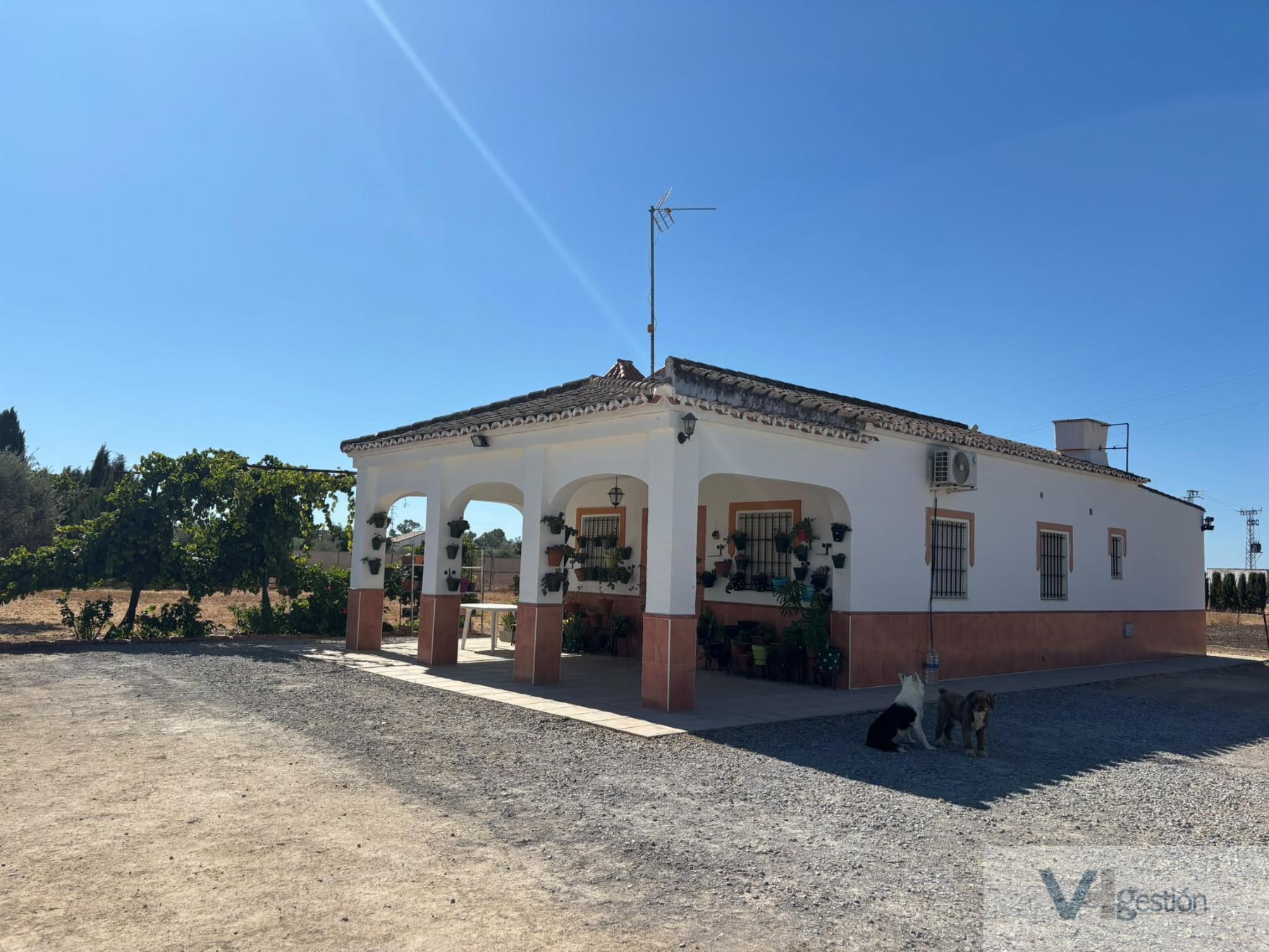 Venta de finca rústica en Villamartín