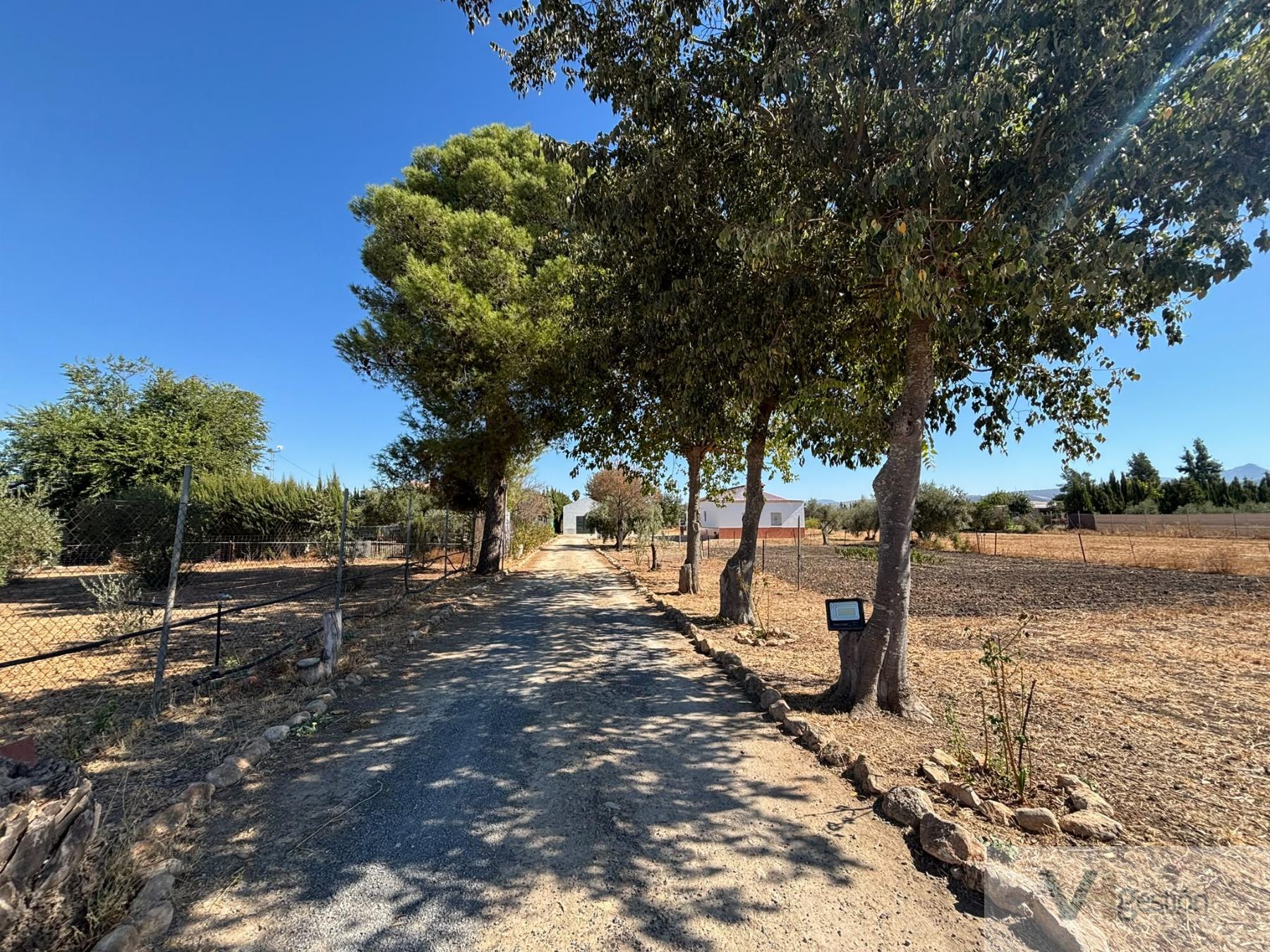 Venta de finca rústica en Villamartín
