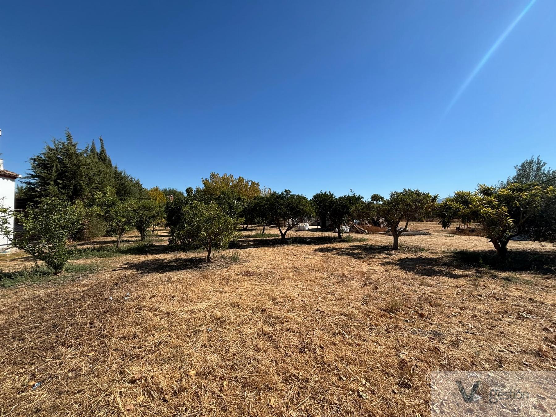 Venta de finca rústica en Villamartín