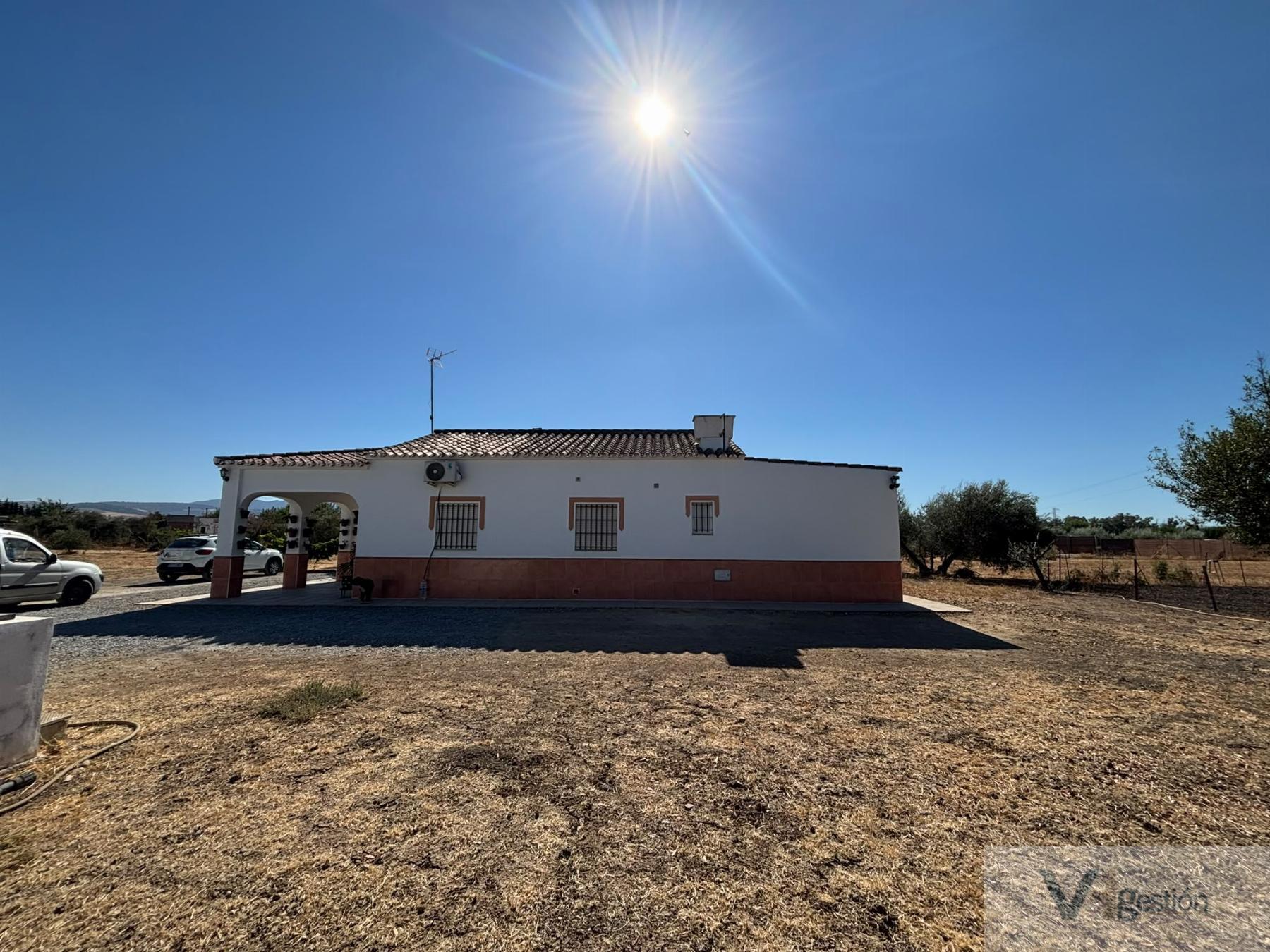 Venta de finca rústica en Villamartín