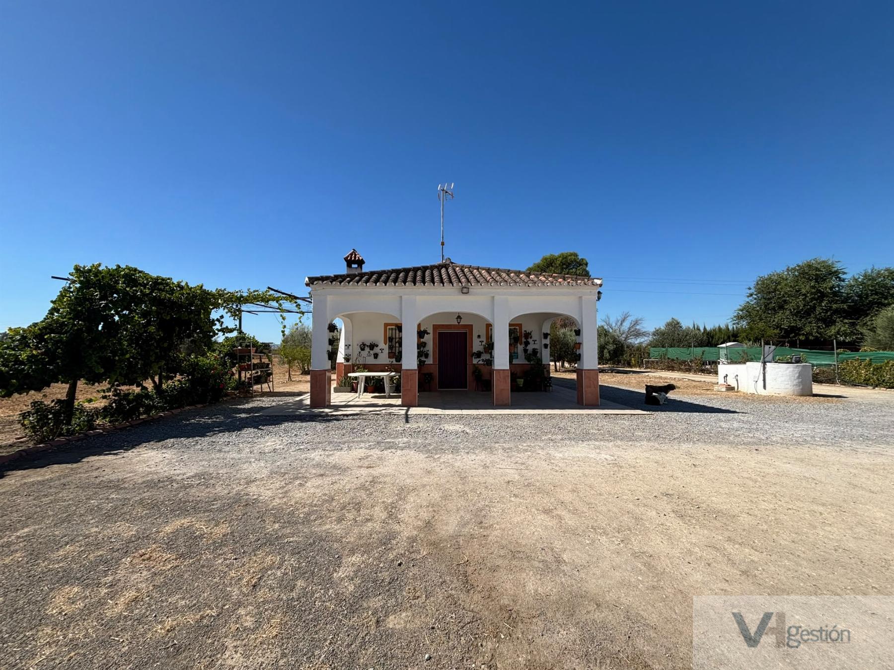 Venta de finca rústica en Villamartín