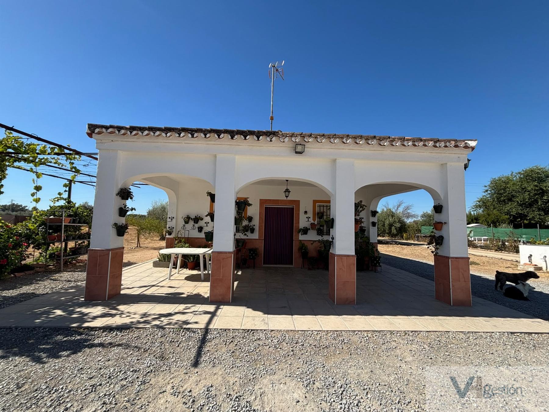 Venta de finca rústica en Villamartín