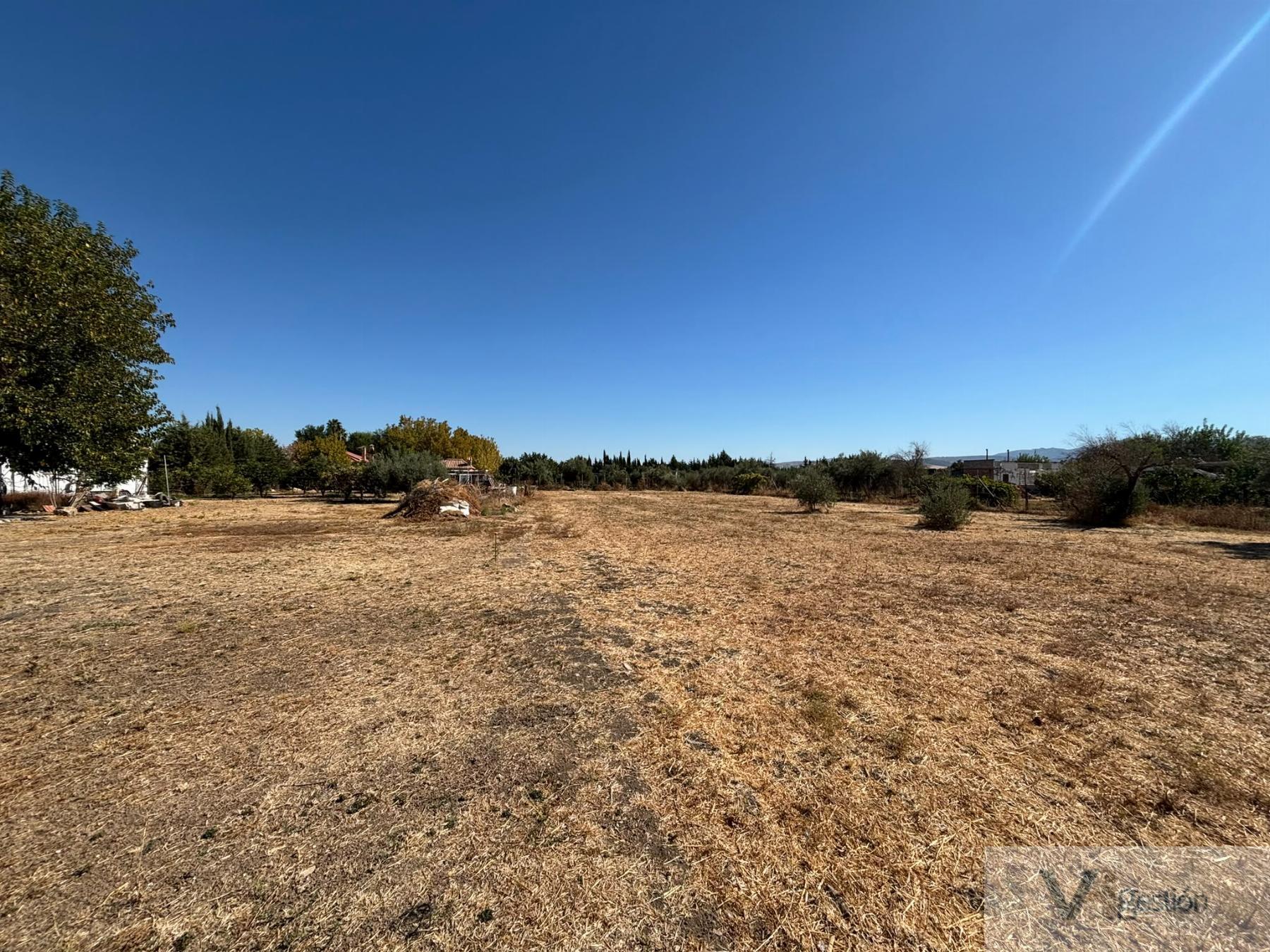 Venta de finca rústica en Villamartín