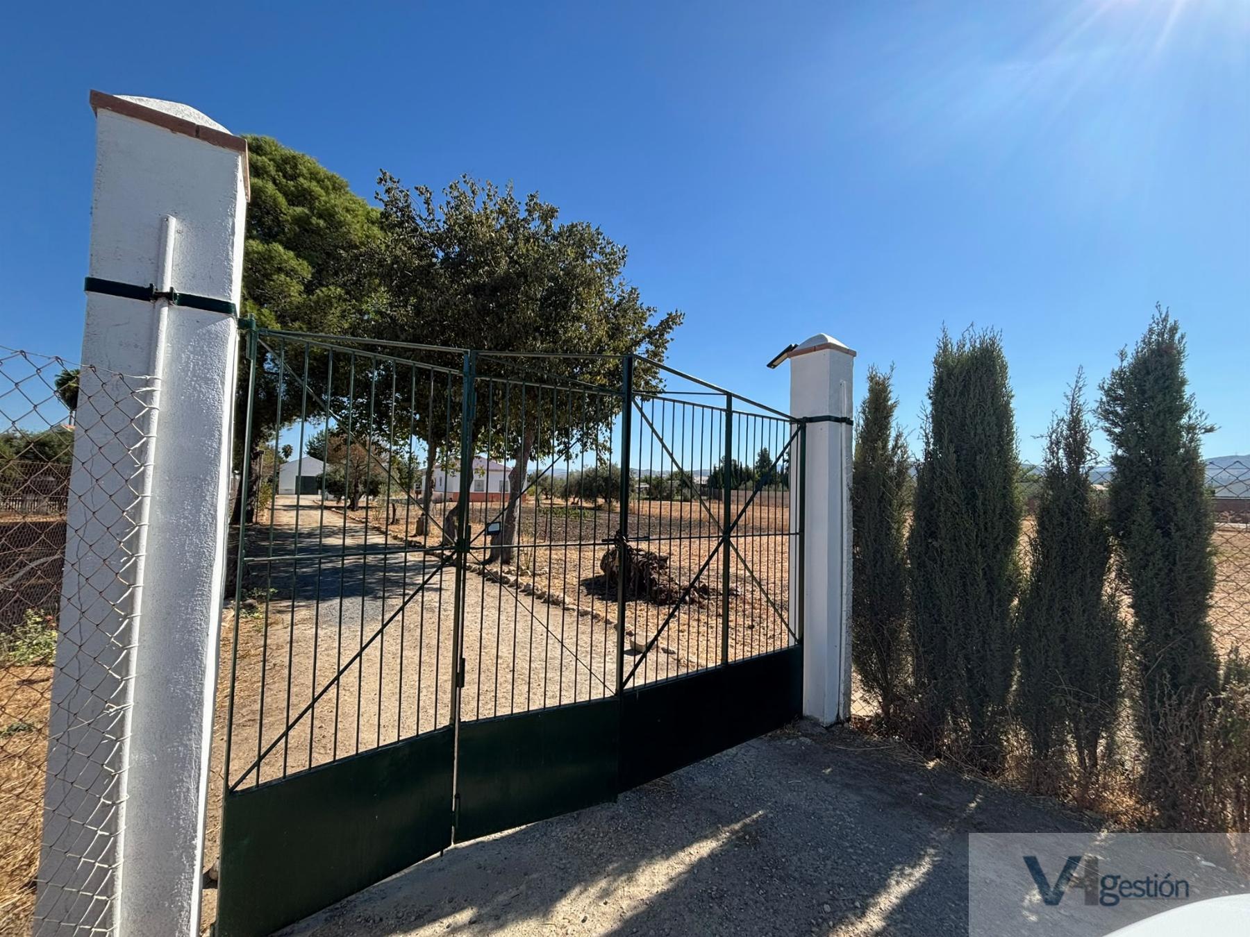 Venta de finca rústica en Villamartín