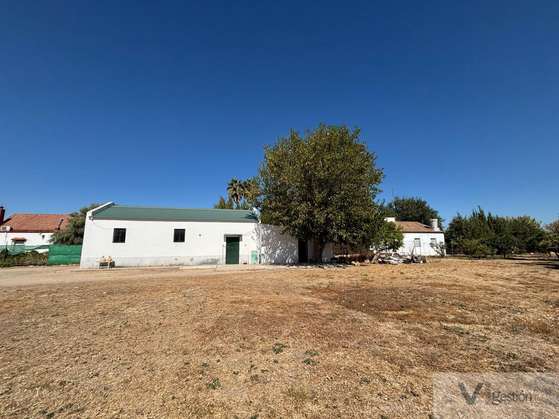 Venta de finca rústica en Villamartín