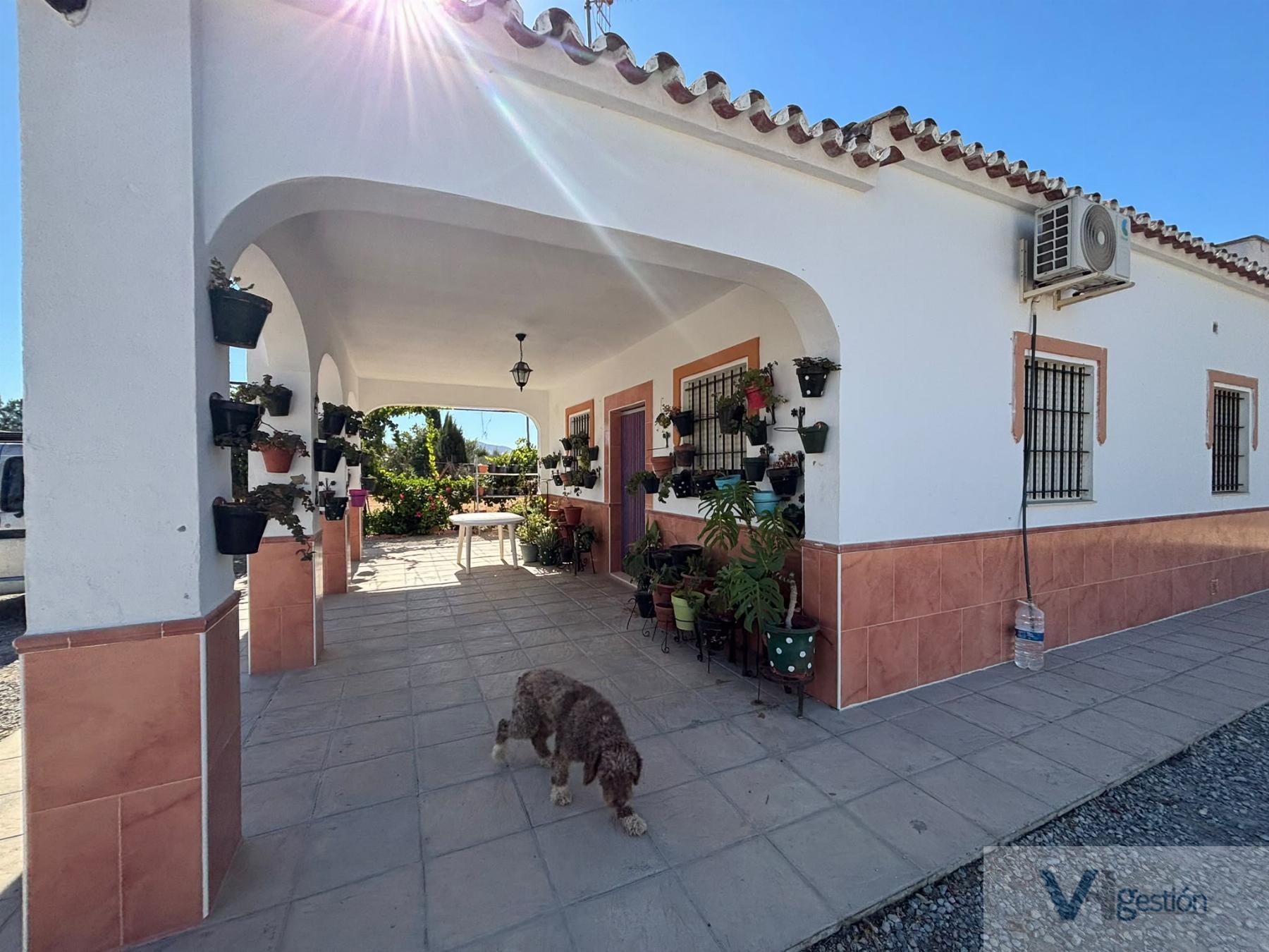 Venta de finca rústica en Villamartín