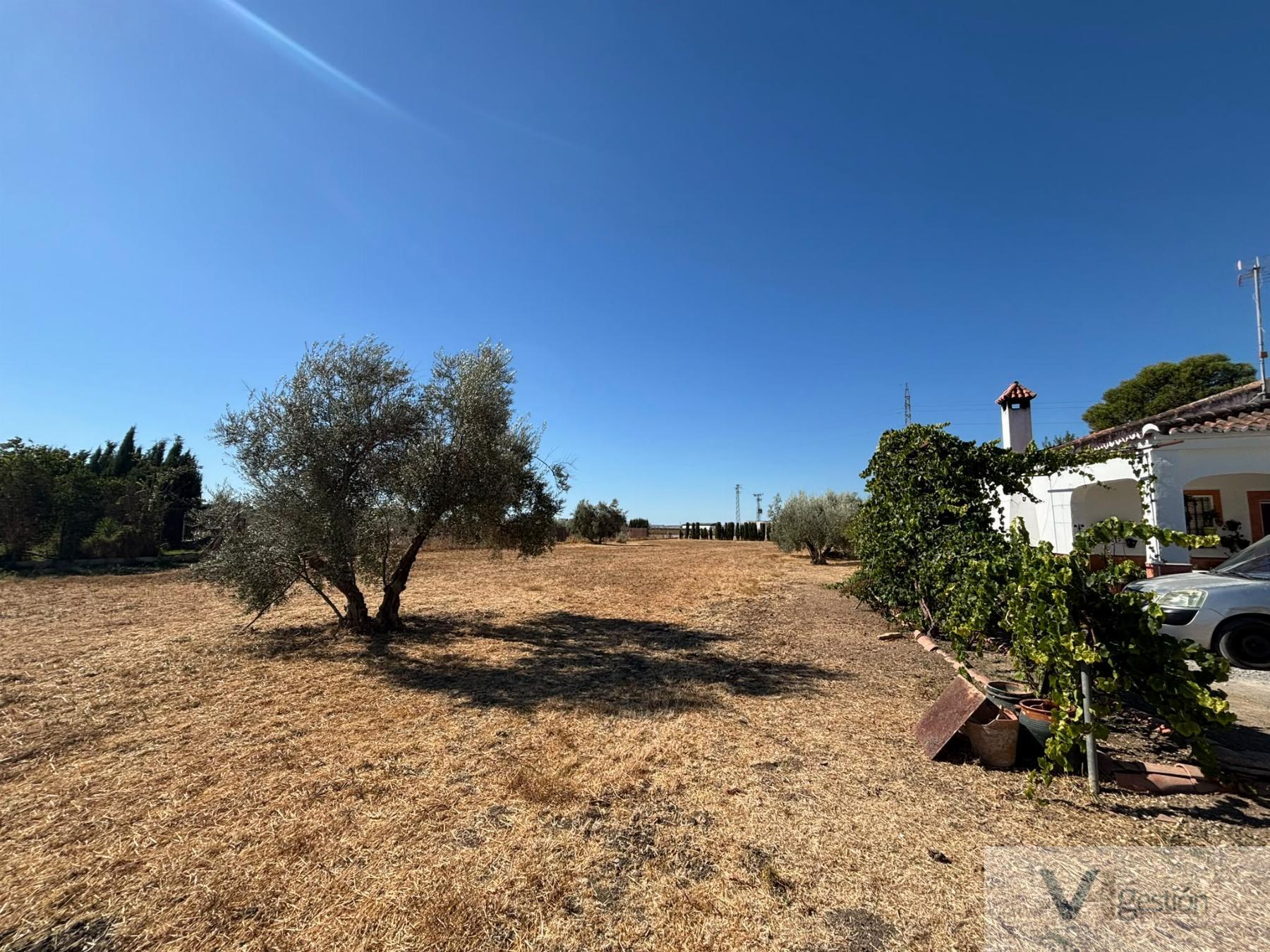 Venta de finca rústica en Villamartín