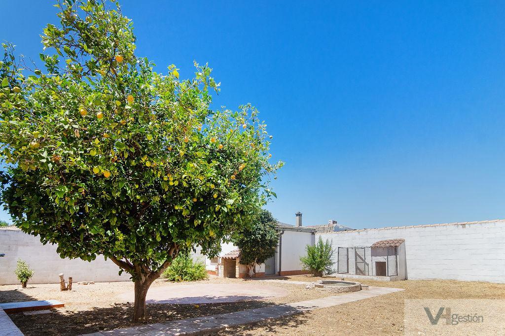 Venta de chalet en Chiclana de la Frontera