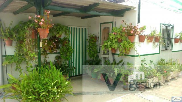 For sale of house in Bornos