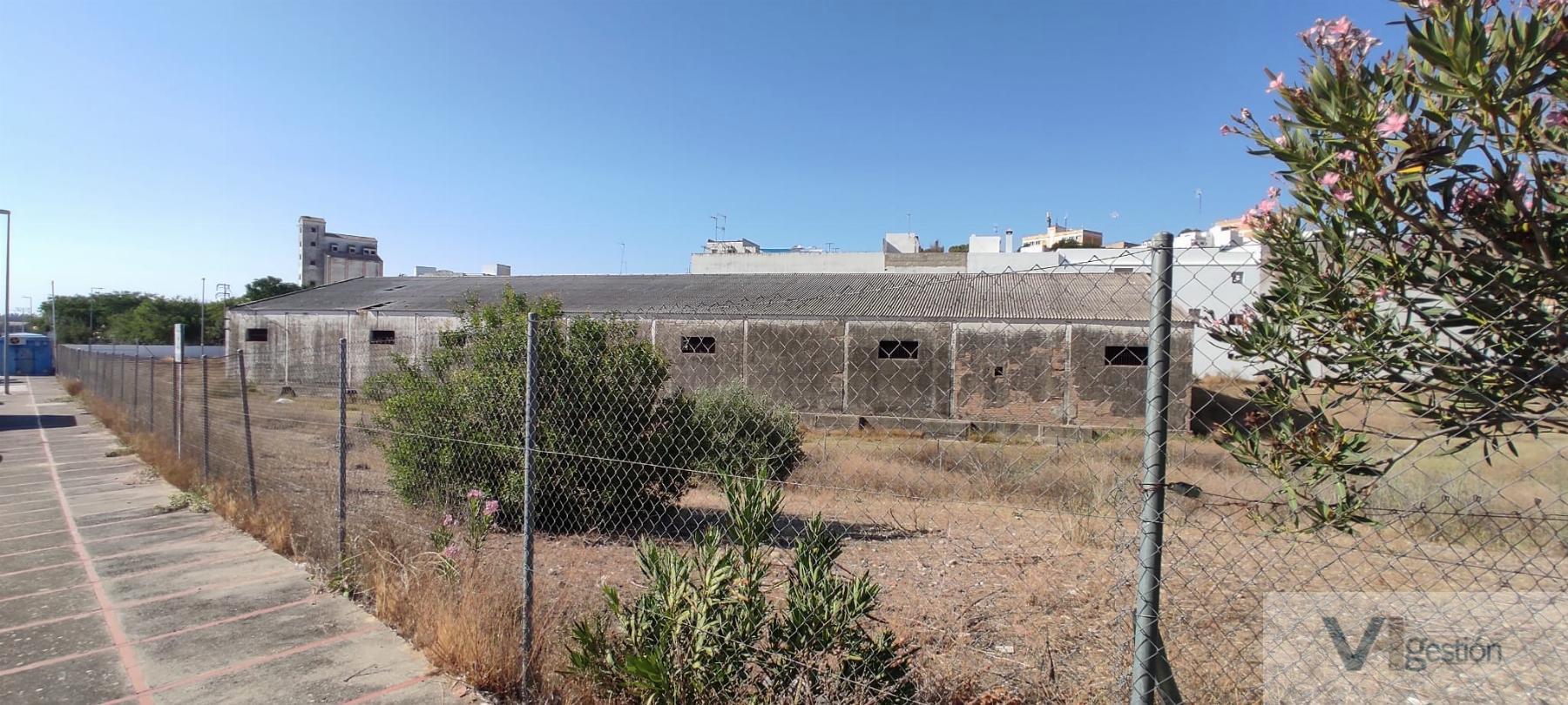 For sale of industrial plant/warehouse in Villamartín
