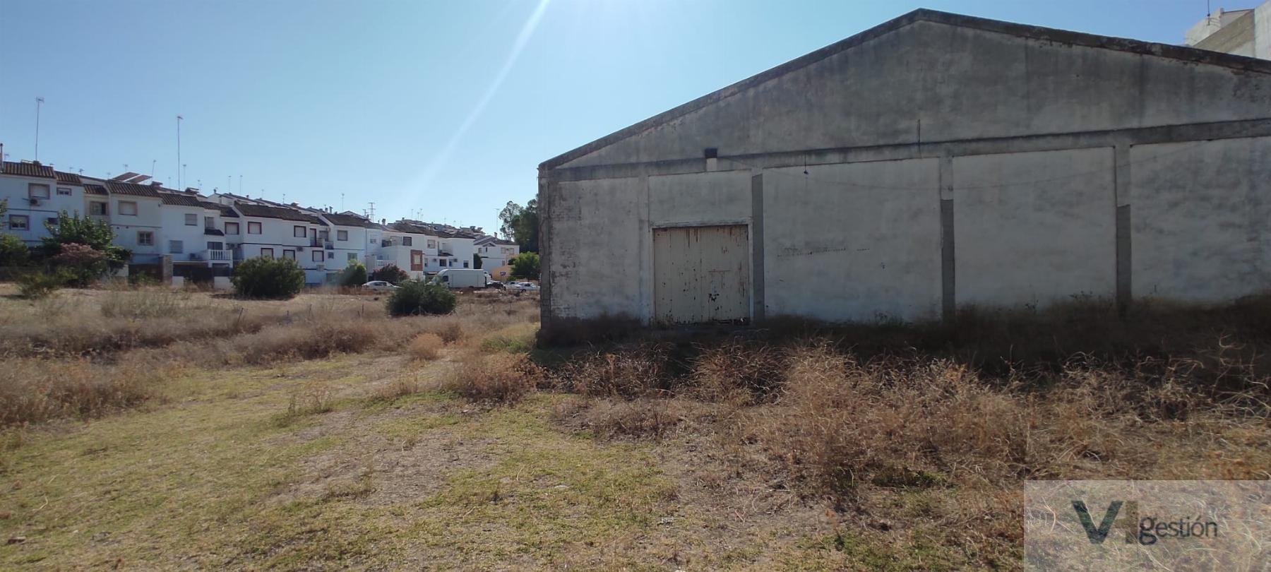 For sale of industrial plant/warehouse in Villamartín