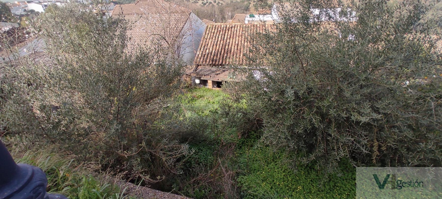For sale of land in El Bosque