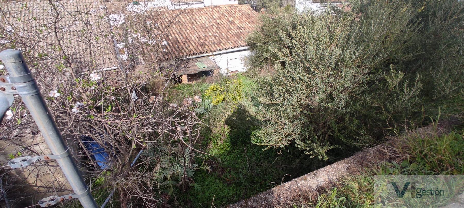 For sale of land in El Bosque