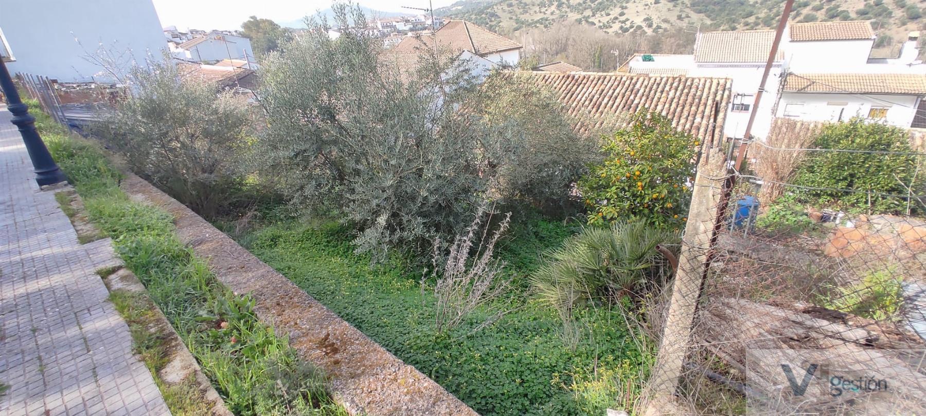 For sale of land in El Bosque